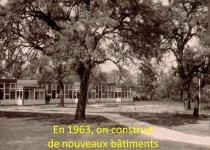 Diapo-50ans-18