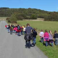 Classes vertes – Domaine de Massembre 2012