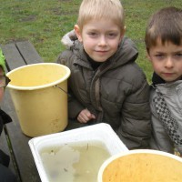 Classes d’eau – Etang de Virelles 2011